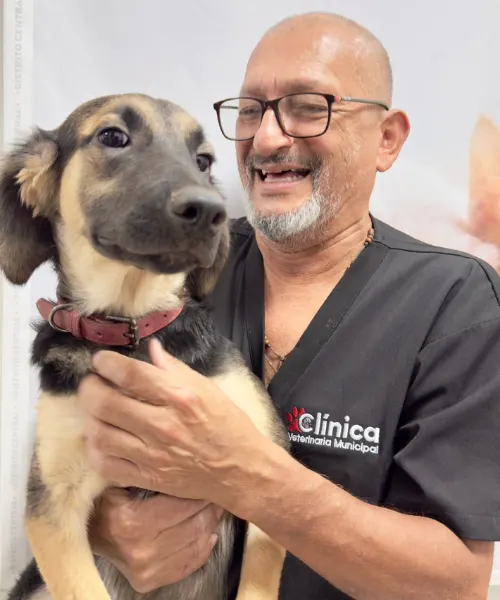EQUIPO MÉDICO- VETERINARIA (1)