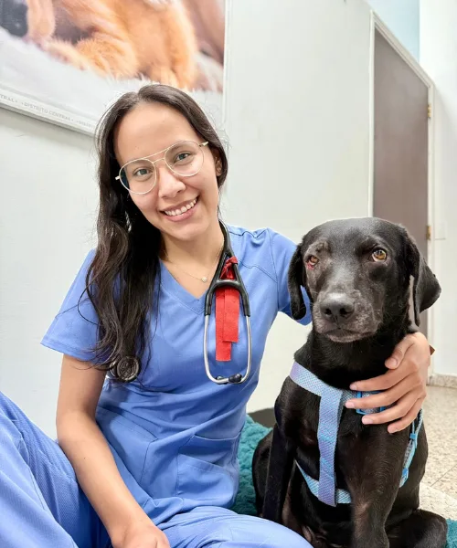 EQUIPO MÉDICO- VETERINARIA (6)