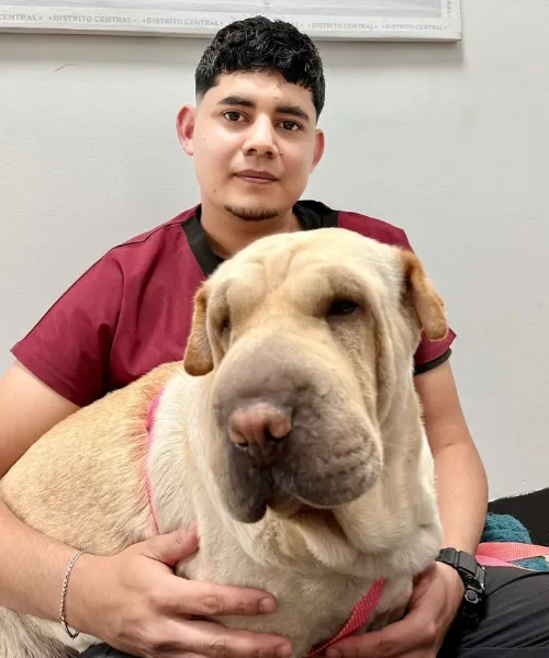 EQUIPO MÉDICO- VETERINARIA (2)