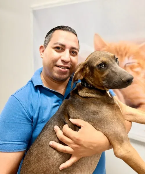 EQUIPO MÉDICO- VETERINARIA (3)
