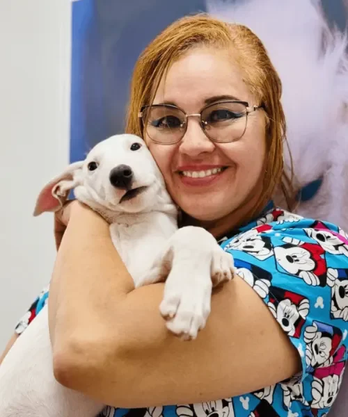EQUIPO MÉDICO- VETERINARIA (8)